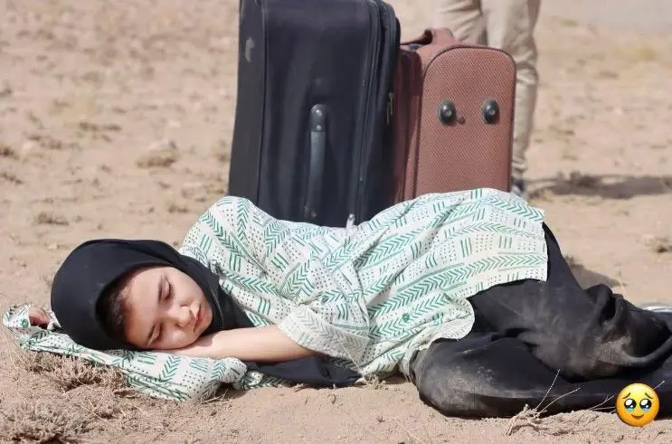Inspiration from the Forest for the Women of Afghanistan
